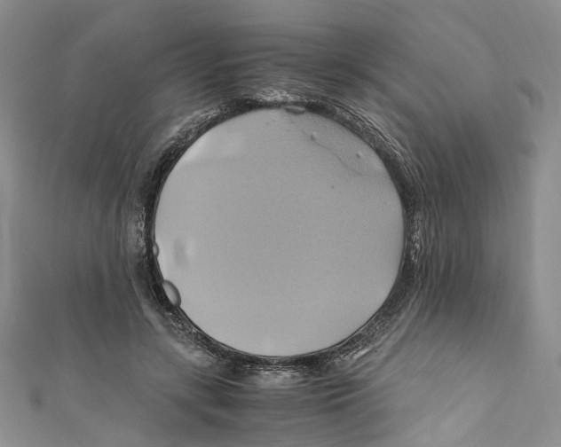 X0000110970547200907171713