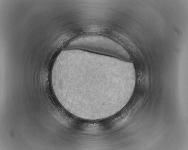 X0000110970548200907171713