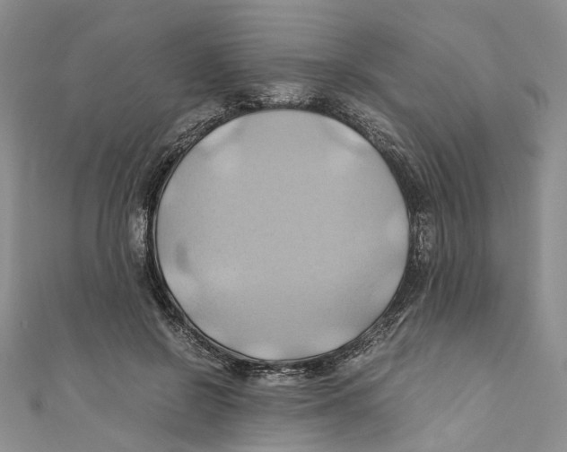 X0000110970550200907171713