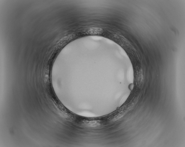 X0000110970553200907171713
