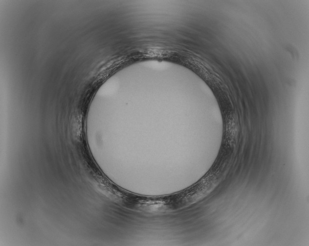 X0000110970554200907171713