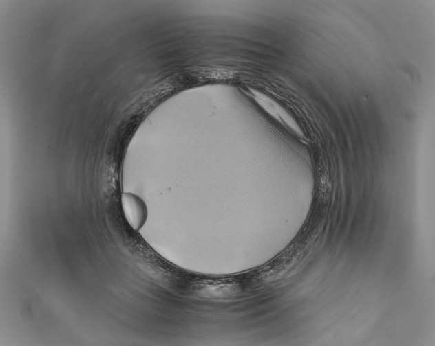 X0000110970555200907171713
