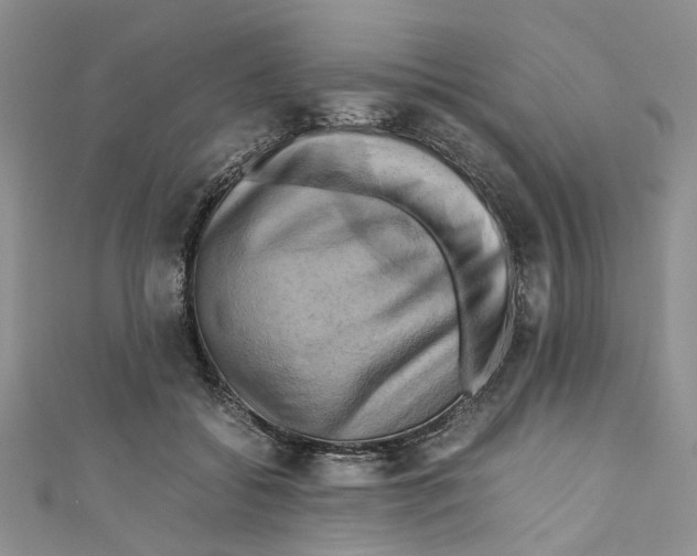 X0000110970556200907171713