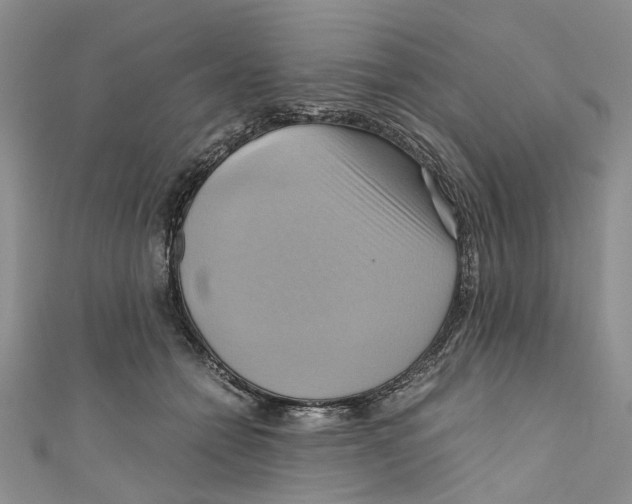 X0000110970558200907171713