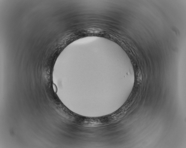 X0000110970559200907171713