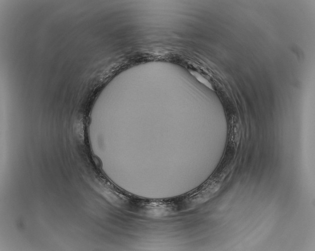 X0000110970562200907171713