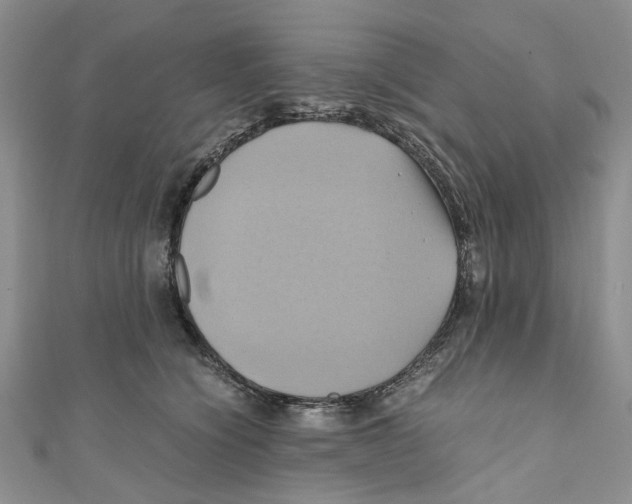 X0000110970564200907171713
