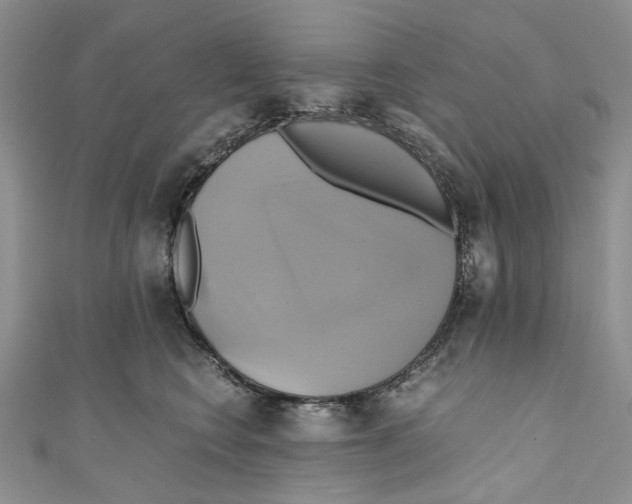 X0000110970566200907171713