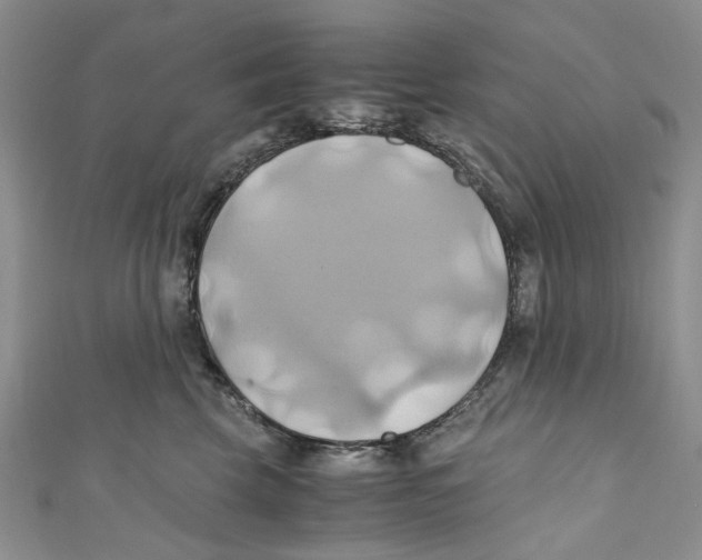 X0000110970569200907171713