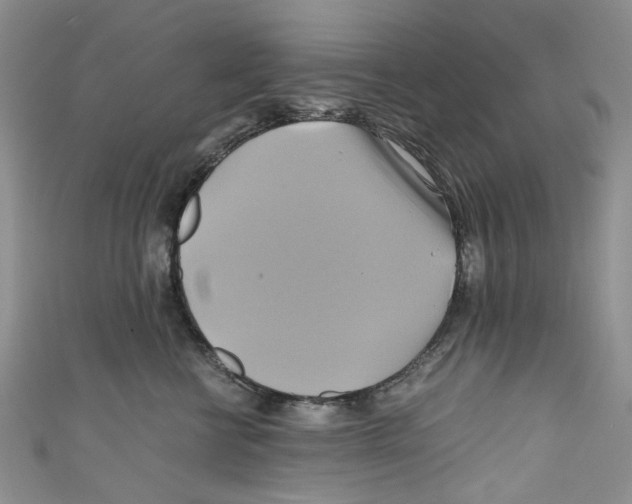 X0000110970570200907171713