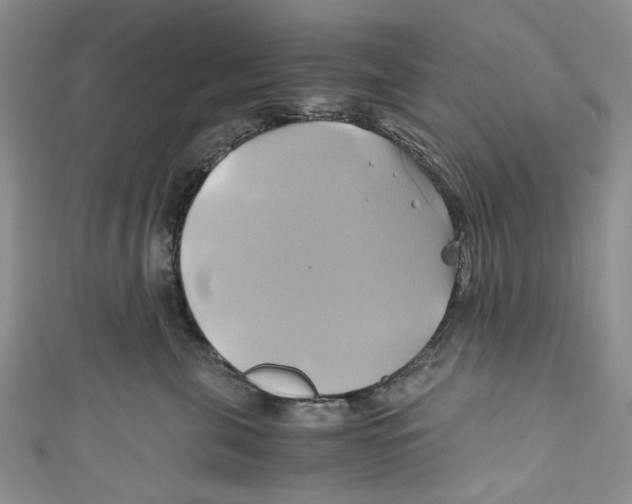 X0000110970571200907171713