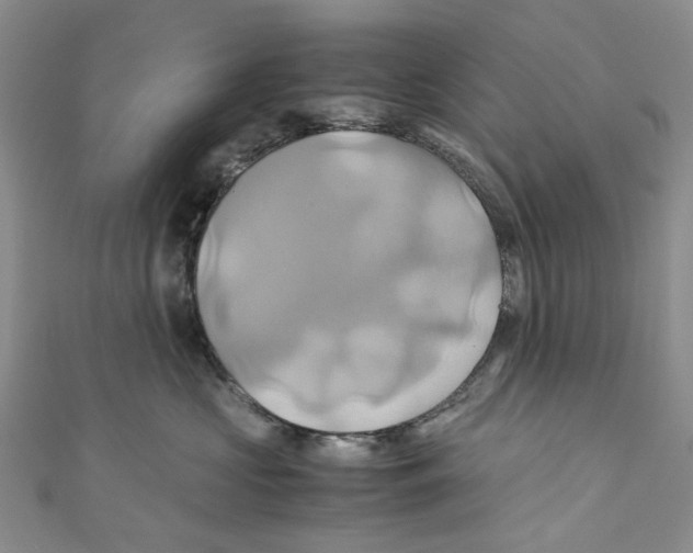 X0000110970573200907171713