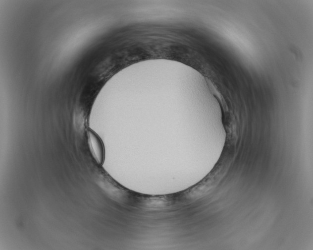 X0000110970574200907171713