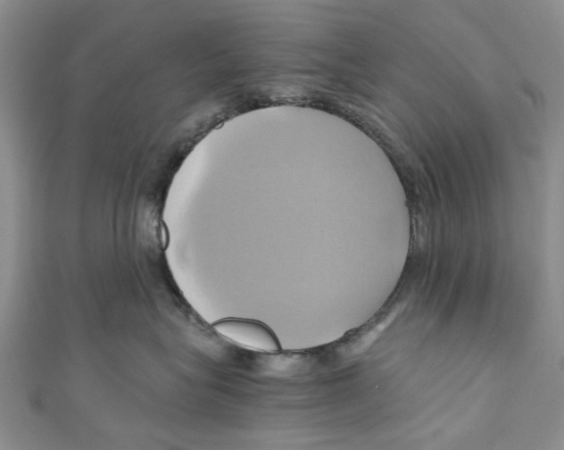 X0000110970575200907171713