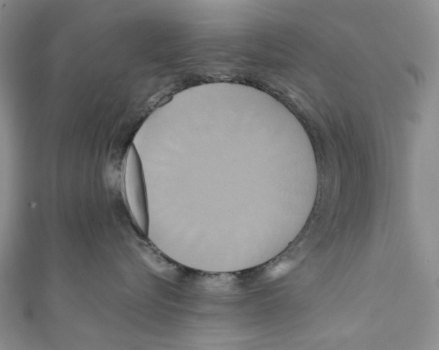 X0000110970576200907171713