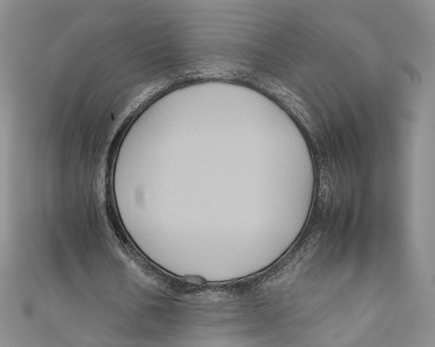 X0000110970578200907171712