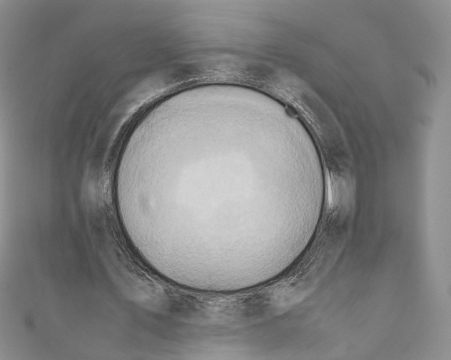 X0000110970579200907171712