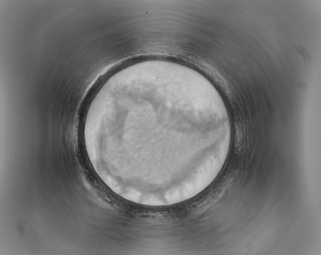 X0000110970580200907171712