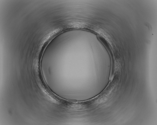 X0000110970581200907171712