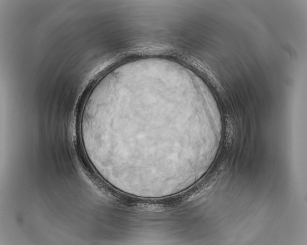 X0000110970582200907171712