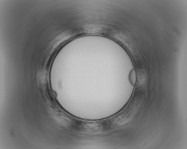 X0000110970583200907171712