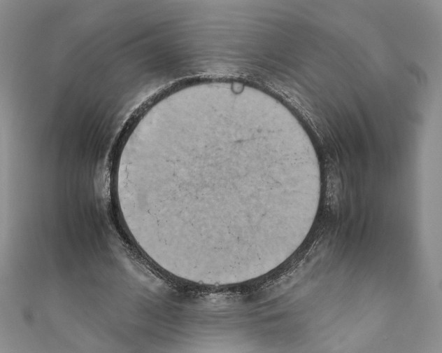 X0000110970584200907171712