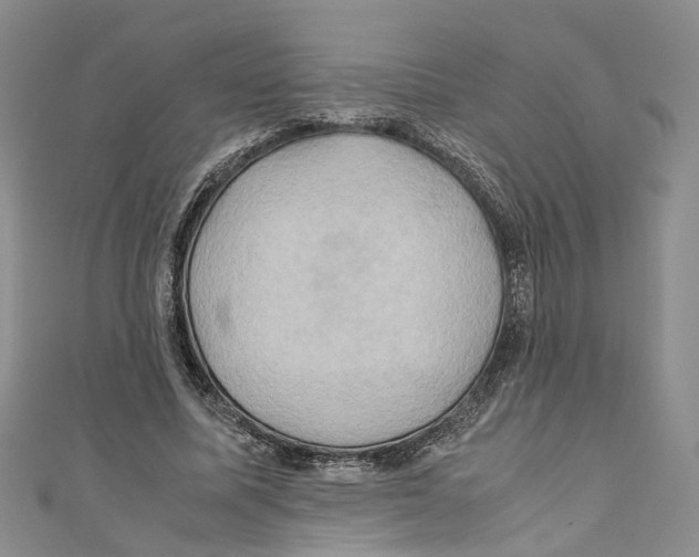 X0000110970587200907171712