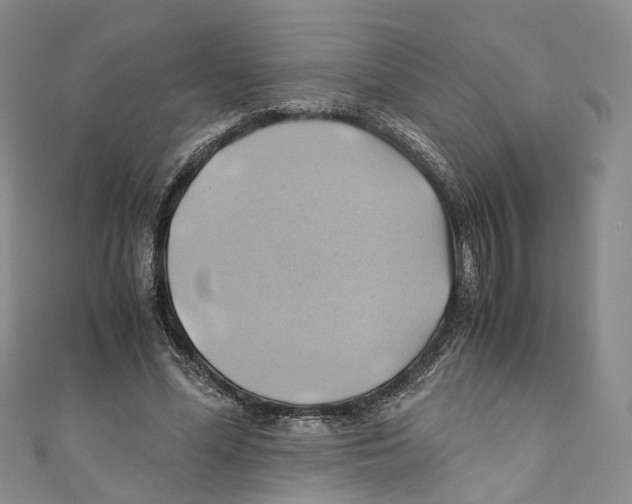X0000110970588200907171712