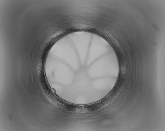X0000110970591200907171712