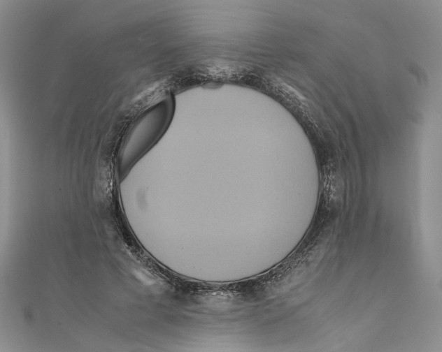 X0000110970593200907171712