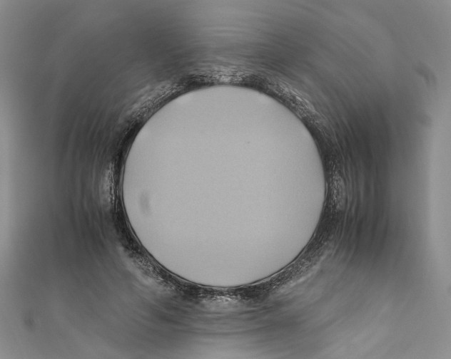 X0000110970594200907171712