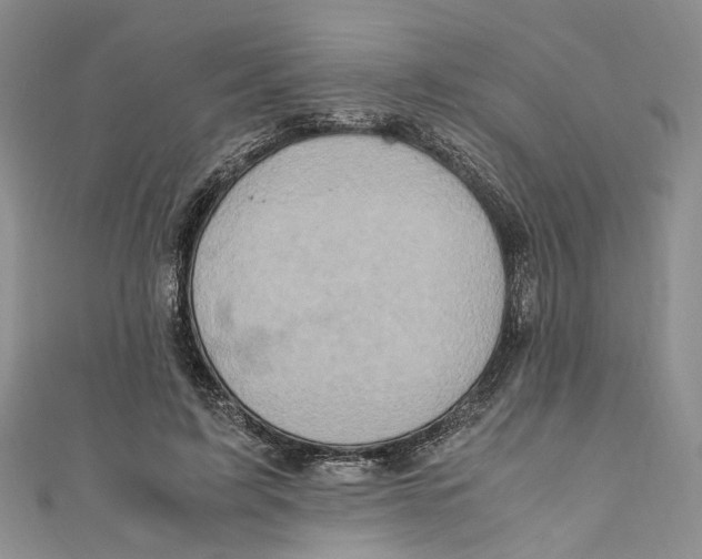 X0000110970595200907171712