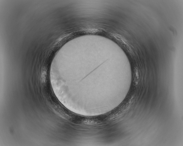X0000110970596200907171712