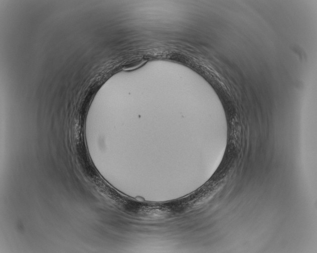 X0000110970597200907171712