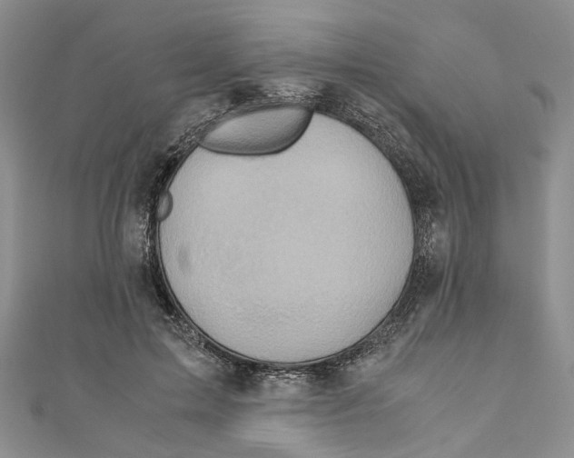 X0000110970599200907171712