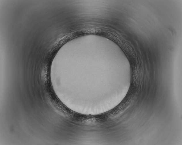 X0000110970600200907171712