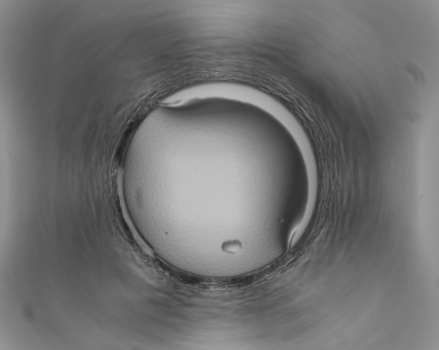 X0000110970601200907171712