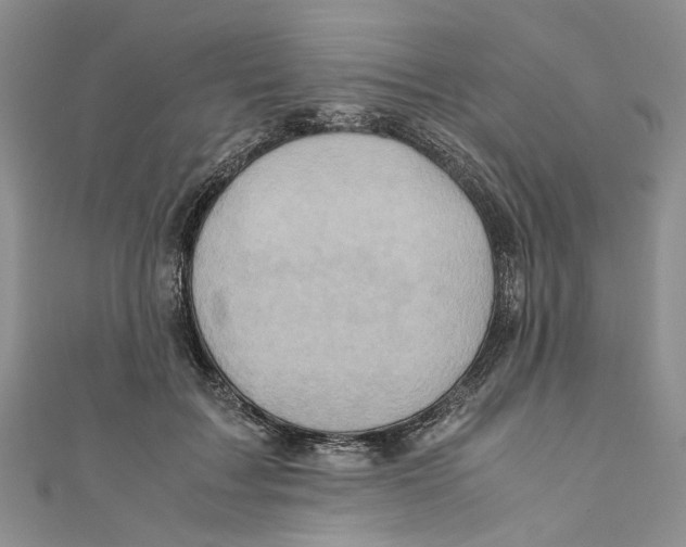 X0000110970603200907171712