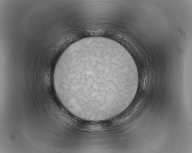 X0000110970604200907171712