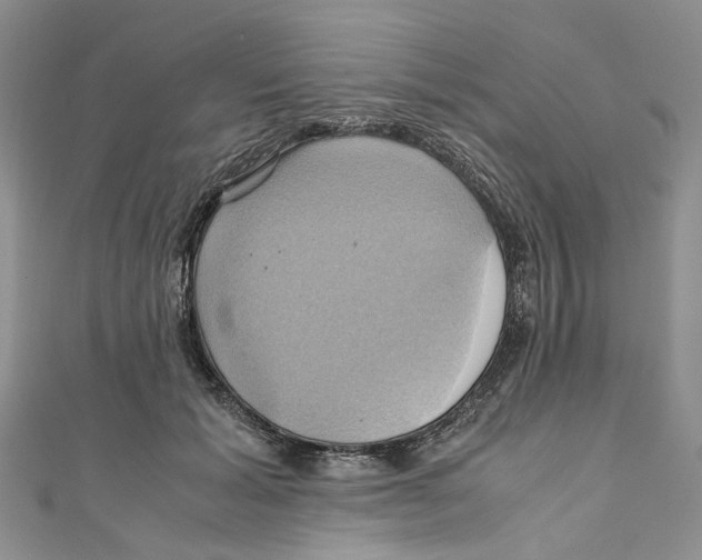 X0000110970605200907171712