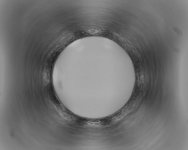 X0000110970606200907171712