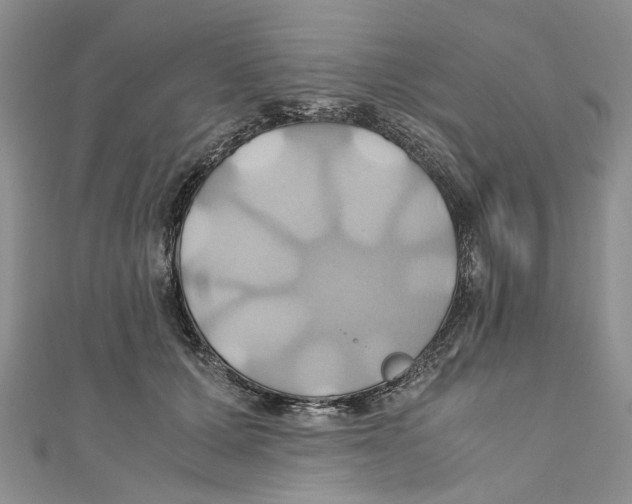 X0000110970607200907171712