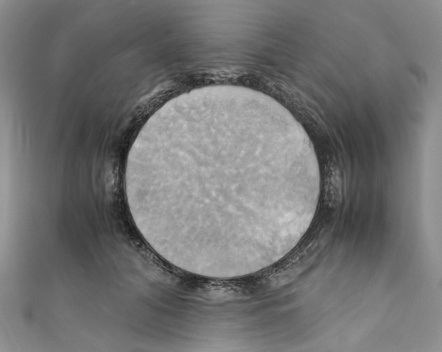 X0000110970608200907171712