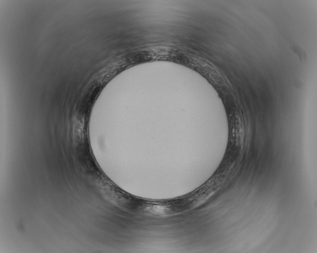 X0000110970610200907171712