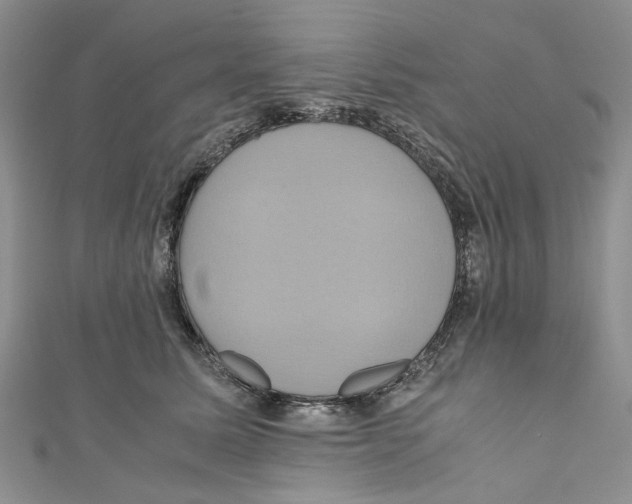 X0000110970611200907171712