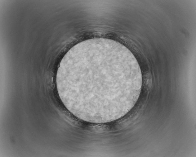 X0000110970615200907171712