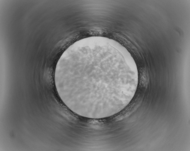X0000110970616200907171712