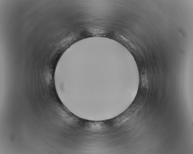 X0000110970618200907171712
