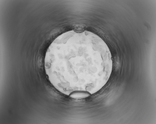 X0000110970619200907171712