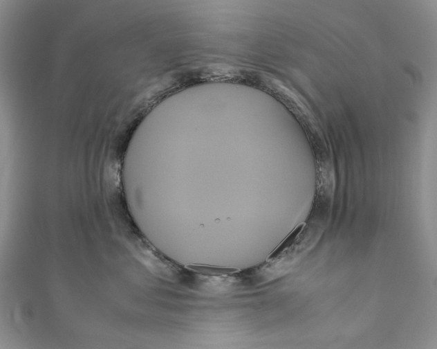 X0000110970621200907171712